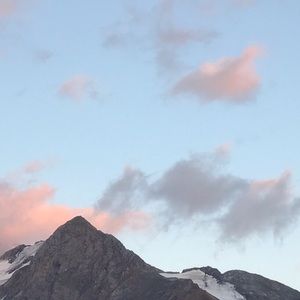 Meet your Posher, Ella